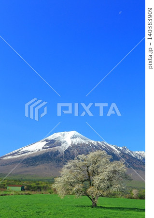 春の青空に映える岩手山 春の青空に映える岩手山 140383909
