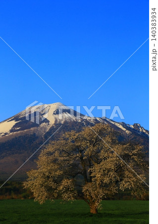 春の青空に映える岩手山 春の青空に映える岩手山 140383934