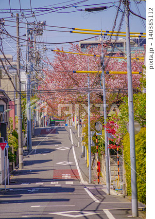 東京都大田区の桜 東京都大田区の桜 140385112