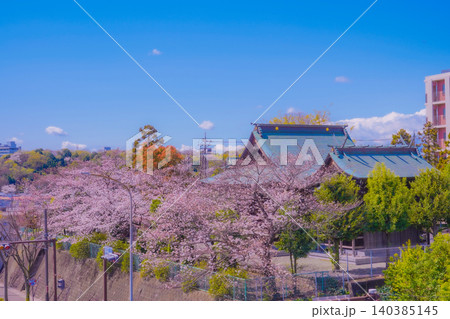桜と社殿の春景色 桜と社殿の春景色 140385145