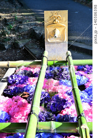 花手水 唐沢山神社境内 栃木県佐野市 花手水 唐沢山神社境内 栃木県佐野市 140386398