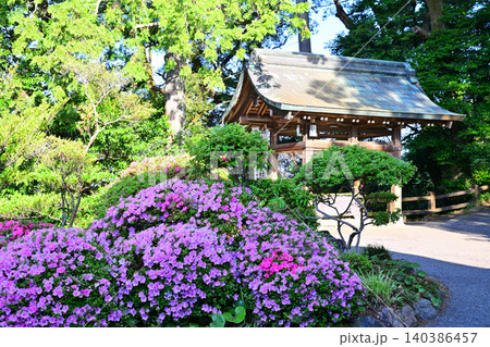 サツキの咲く頃　手水場付近　唐沢山神社　栃木県佐野市 140386457