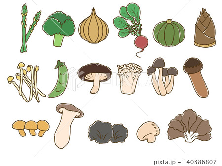 ラフな野菜の線画　色あり3 140386807