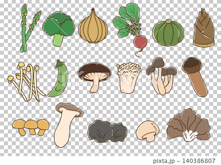ラフな野菜の線画　色あり3 140386807