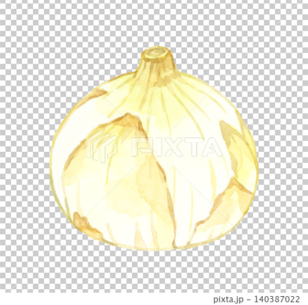 New onion - Hand-drawn watercolor illustration of a vegetable New onion - Hand-drawn watercolor illustration of a vegetable 140387022
