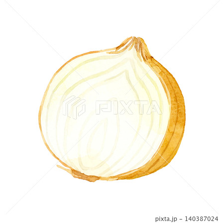 半分にカットしたタマネギ 野菜の手描き水彩イラスト素材 半分にカットしたタマネギ 野菜の手描き水彩イラスト素材 140387024