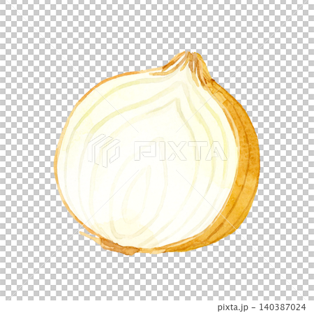 半分にカットしたタマネギ 野菜の手描き水彩イラスト素材 半分にカットしたタマネギ 野菜の手描き水彩イラスト素材 140387024