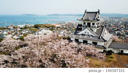館山城と桜 空撮 館山城と桜 空撮 140387101