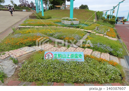 生駒山上遊園地の入口花壇（奈良県生駒市） 140387607