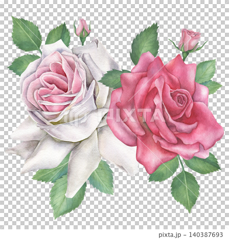 White and pink roses bloom with green leaves and bud, composition isolated on white background. Watercolor floral illustration. Hand drawn. For invitations, design, fabrics and textiles. White and pink roses bloom with green leaves and bud, composition isolated on white background. Watercolor floral illustration. Hand drawn. For invitations, design, fabrics and textiles. 140387693