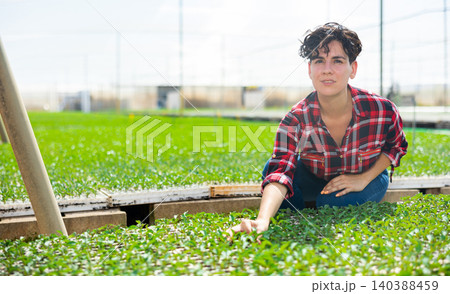 Hardworking woman farmer, growing seedlings in a greenhouse, conducts their inspection 140388459