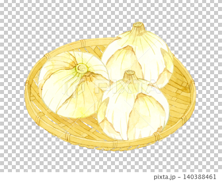 New onions on a bamboo basket - Hand-drawn watercolor illustration of vegetables New onions on a bamboo basket - Hand-drawn watercolor illustration of vegetables 140388461