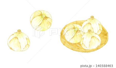 新タマネギのセット 野菜の手描き水彩イラスト素材 新タマネギのセット 野菜の手描き水彩イラスト素材 140388463