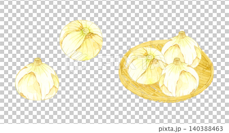 New onion set - Hand-drawn watercolor illustration of vegetables New onion set - Hand-drawn watercolor illustration of vegetables 140388463