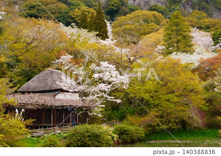 庭園が織りなす春の日本風景 庭園が織りなす春の日本風景 140388836