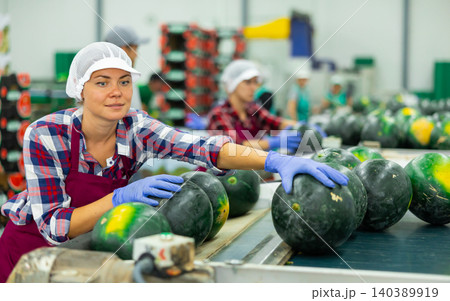 Female worker sorting watermelons in fruit factory workshop 140389919