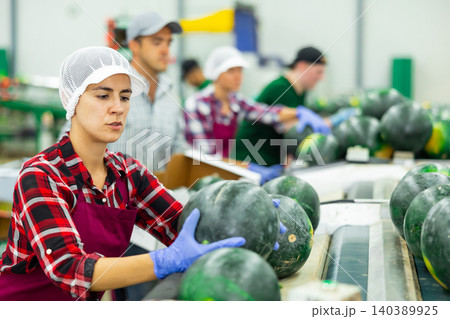 Woman in uniform sorting watermelons in factory 140389925