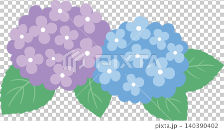 かわいい青と紫のアジサイのベクターイラスト かわいい青と紫のアジサイのベクターイラスト 140390402
