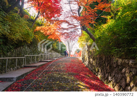 family through autumn maple tree tunnel of Shinnyodo Temple, Kyoto family through autumn maple tree tunnel of Shinnyodo Temple, Kyoto 140390772