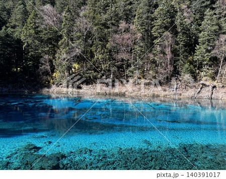Turquoise Lake Water And Lush Forest At Jiuzhaigou National Park 140391017