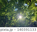 新緑の木々の間から差し込む太陽 140391133