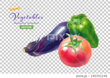 新鮮な夏野菜3点セット(トマト、ナス、ピーマン)の水彩イラスト ベクター 新鮮な夏野菜3点セット(トマト、ナス、ピーマン)の水彩イラスト ベクター 140391248