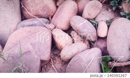 stone wall with root of tree stone wall with root of tree 140391267