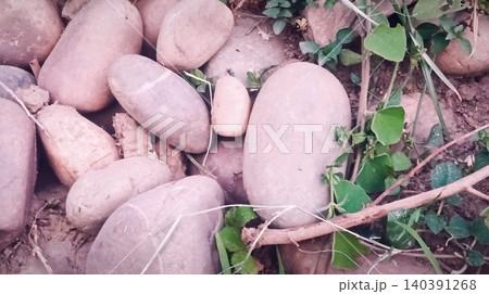 Stones on the ground Stones on the ground 140391268