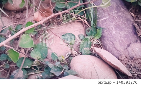 Heap of the stones  140391270
