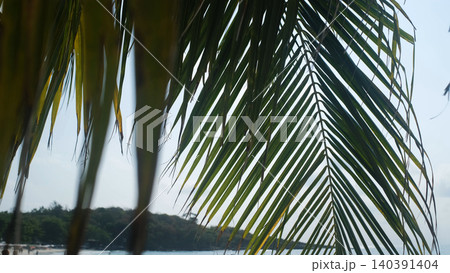 Close-up of a green palm leaf in foreground framing a scenic view of blue sea and tropical beach. Nature framing concept 140391404