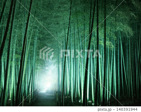 夜の竹林に差し込む幻想的な光(広島・自然・夜景) 夜の竹林に差し込む幻想的な光(広島・自然・夜景) 140391944