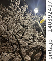 夜桜を見上げて 140392497