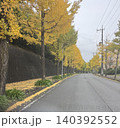 道路沿いにイチョウの木がある道路 140392552