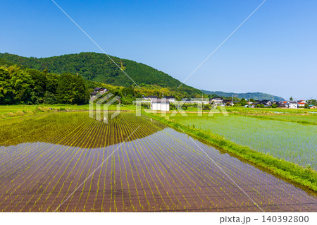 田植えの終わった水田と自然が美しい田舎の風景 田植えの終わった水田と自然が美しい田舎の風景 140392800