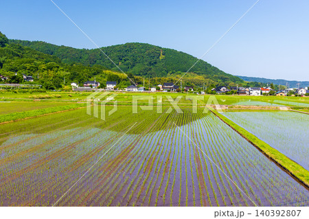 田植えの終わった水田と自然が美しい田舎の風景 140392807