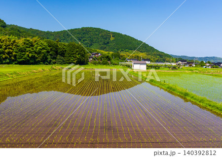 田植えの終わった水田と自然が美しい田舎の風景 田植えの終わった水田と自然が美しい田舎の風景 140392812
