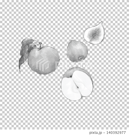 Watercolor illustration of pears and figs 140392977
