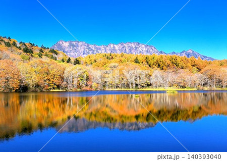 小鳥ケ池の紅葉 小鳥ケ池の紅葉 140393040