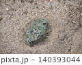 砂浜にあった石にハートの形 140393044
