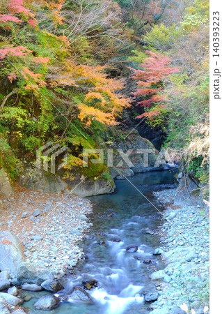 【神奈川県】渓谷の紅葉と青い川 【神奈川県】渓谷の紅葉と青い川 140393223