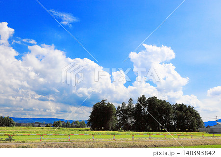 6月の庄内平野水田風景 6月の庄内平野水田風景 140393842