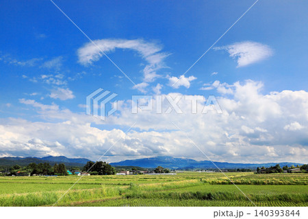 6月の庄内平野水田風景 6月の庄内平野水田風景 140393844