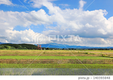 6月の庄内平野水田風景 6月の庄内平野水田風景 140393848