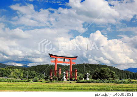 6月の庄内平野水田風景 6月の庄内平野水田風景 140393851