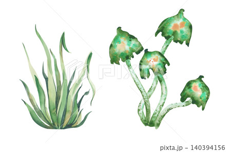 Watercolor Halloween magic mushroom and forest grass set isolated on white background. For Halloween party graphics, fantasy game designs, and occult greeting cards. Watercolor Halloween magic mushroom and forest grass set isolated on white background. For Halloween party graphics, fantasy game designs, and occult greeting cards. 140394156