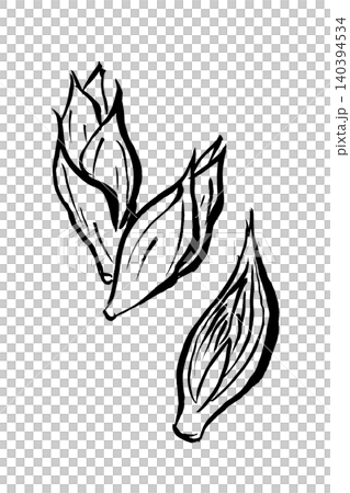 筆絵 茗荷 筆絵 茗荷 140394534