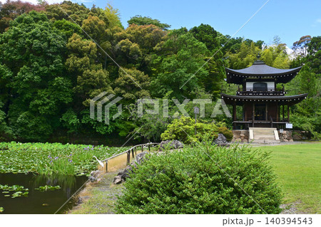 6月の京都市山科 勧修寺 氷室園と観音堂 6月の京都市山科 勧修寺 氷室園と観音堂 140394543