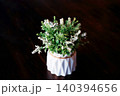 Close up plastic tree plant and white flowers branch in white pot decorated on black  background 140394656