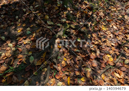 various various 140394679