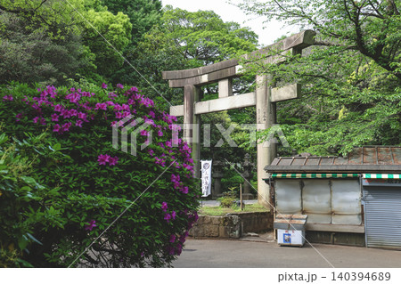 April 25 2026 Ueno Toshogu Shrine Stone Torii And Spring Greenery April 25 2026 Ueno Toshogu Shrine Stone Torii And Spring Greenery 140394689